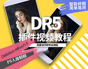 DR5人像修圖插件教程
