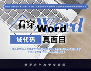看穿Word域代碼真面目 